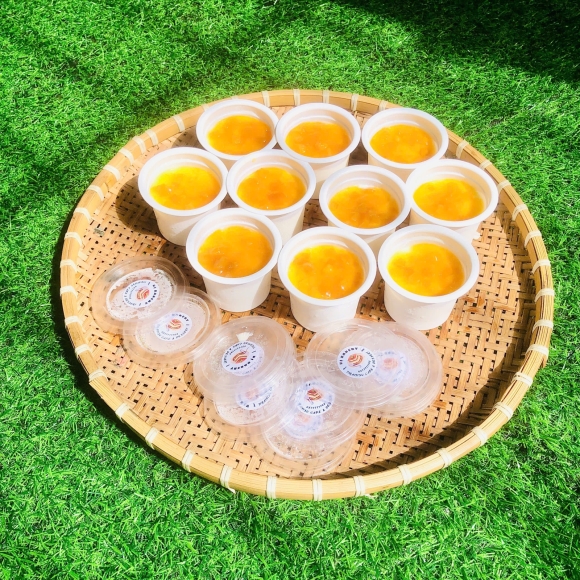 Set 10 sữa chua phô mai Mix vị Xoài 