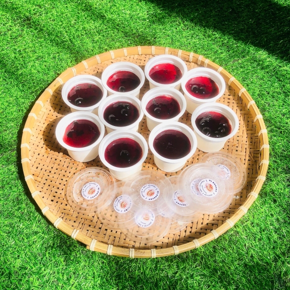 Set 10 sữa chua phô mai Mix vị Việt Quất 